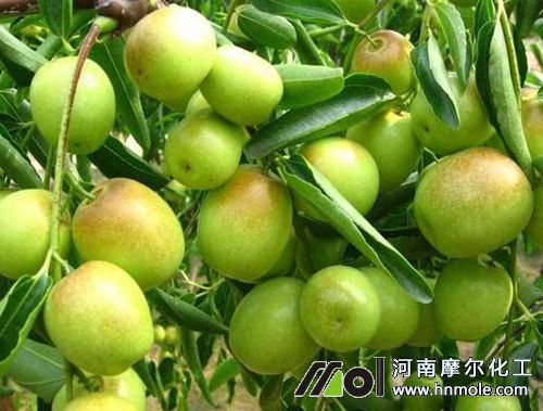 ����ˮ�ܷ�ʹ�÷���