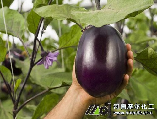 ����������c