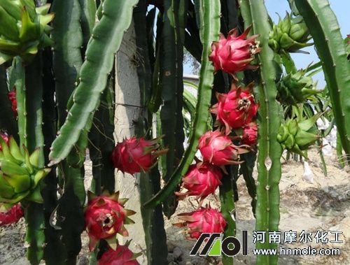 ������������c