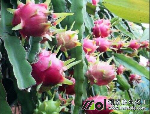 ������ˮ�ܷ�ʹ�÷���