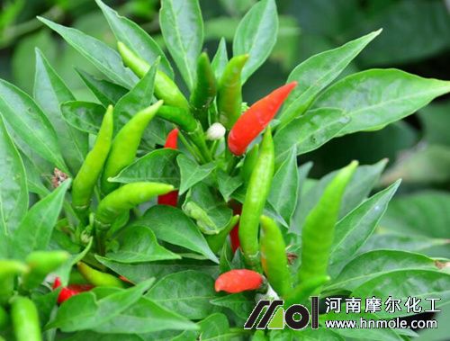 ����ˮ�ܷ��÷�