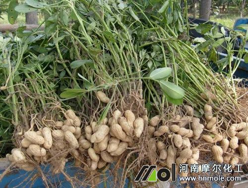 ����ʩ�ʷ���