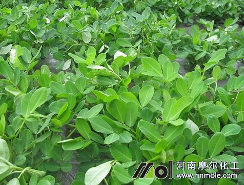 ����ˮ�ܷ�ʹ��ע��