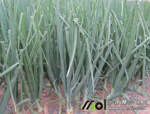 ���[ʩ�ʷ���