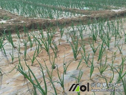 ���[ˮ�ܷ�ʹ�÷���