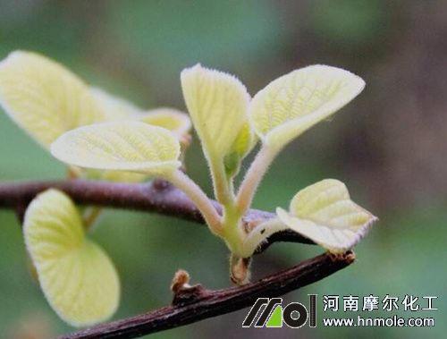 �J���Ұlѿʩˮ�ܷ�