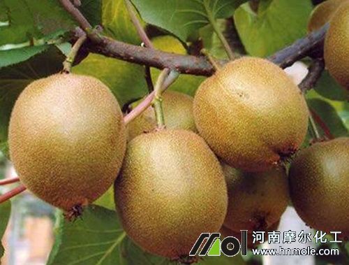 �J�������ʩˮ�ܷ�