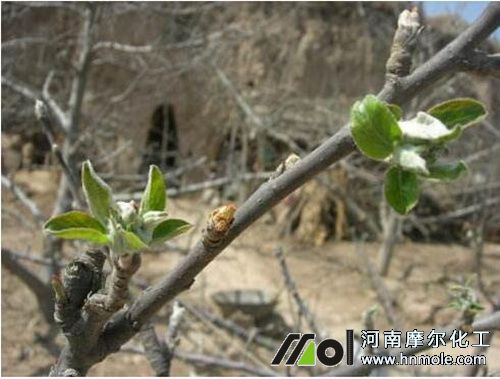 �O����lѿ��ʩˮ�ܷ�