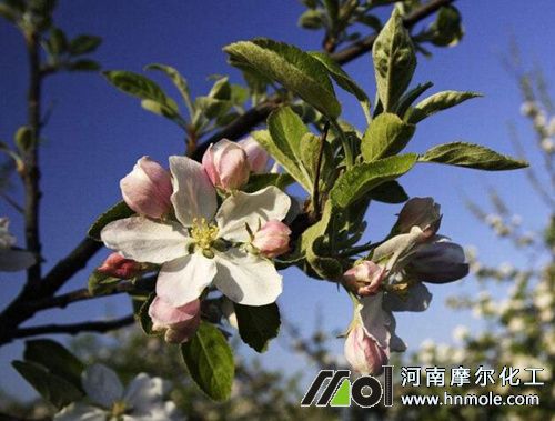 �O�����_��ʩˮ�ܷ�