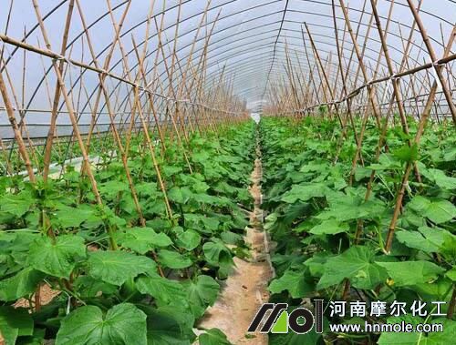 �ú��߲�ˮ�ܷ�Ҫ�I