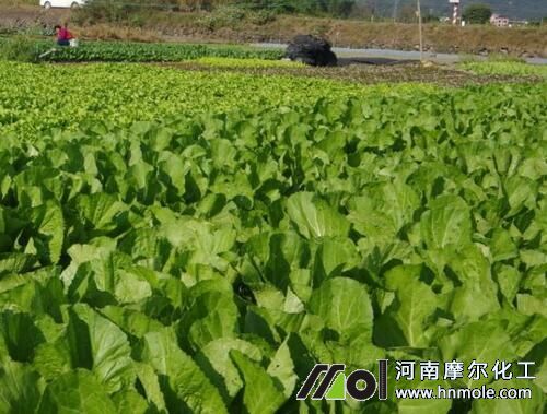 �߲�ˮ�ܷ����_�÷�