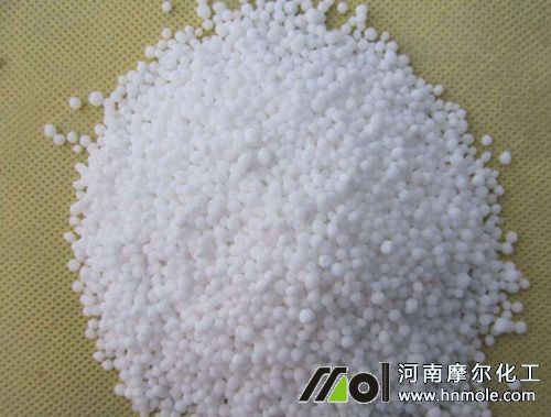 �����w��