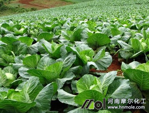 ˮ�ܷ�ϡጼ���ˮ