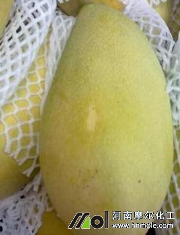 �b���â��