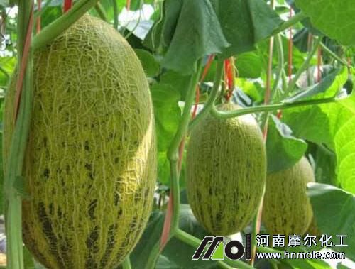 ���ܹ���ʲôˮ�ܷ�