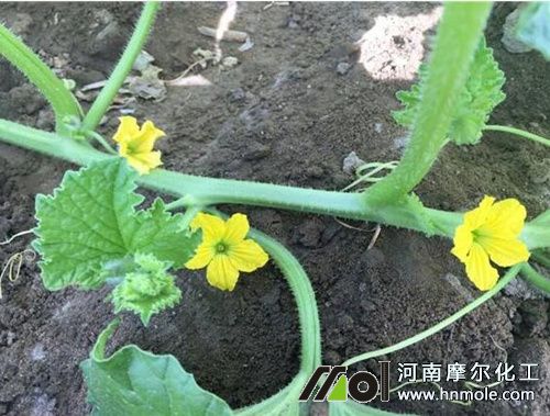 ���ܹϻ���ʩ��