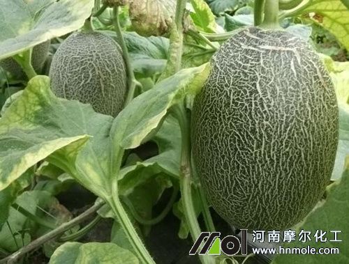 ���ܹϽY����ʩ��