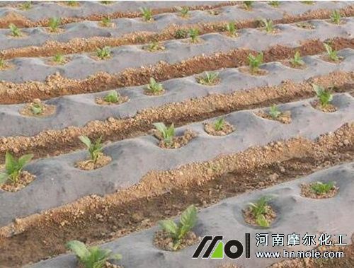 ����һ���طNֲ��(sh��)��