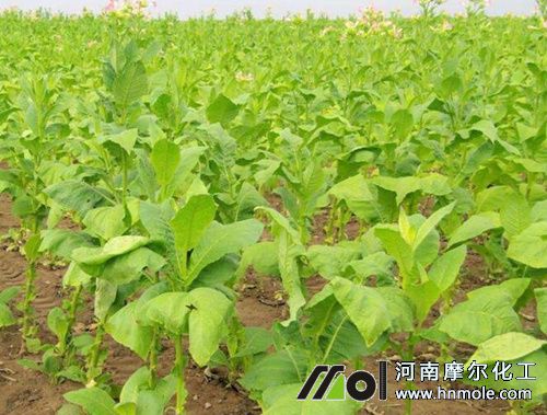 ���ݵ�������c(di��n)