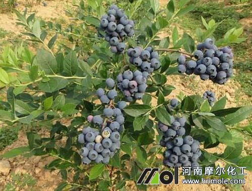 �{ݮ���Ҏ(gu��)��