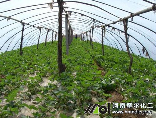 水溶在大棚上方法 水溶在大棚上方法