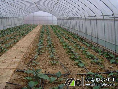 大棚水溶肥使用注意 大棚水溶肥使用注意