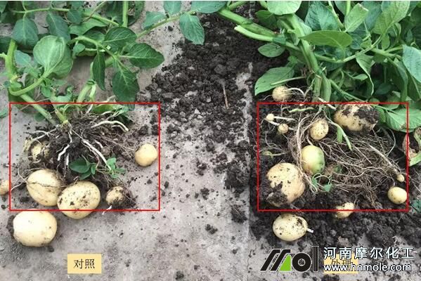 ����ˮ�ܷ�ʹ��Ч��