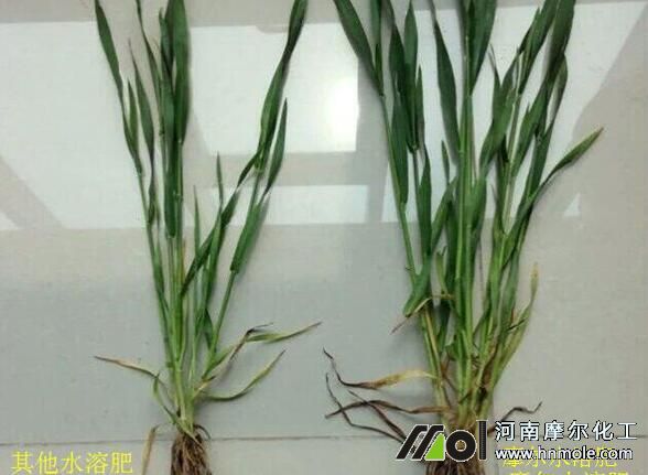 Ħ��ˮ�ܷ���С����ʹ��Ч��