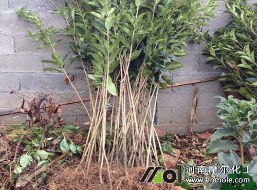 ���Ԙ����÷��x��