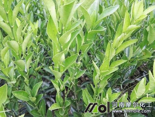 �۽ۘ��ט���