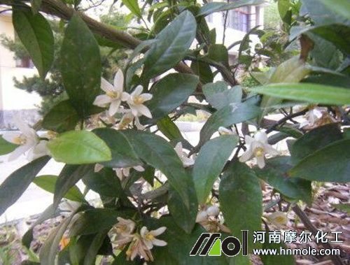 �ۘ��_����