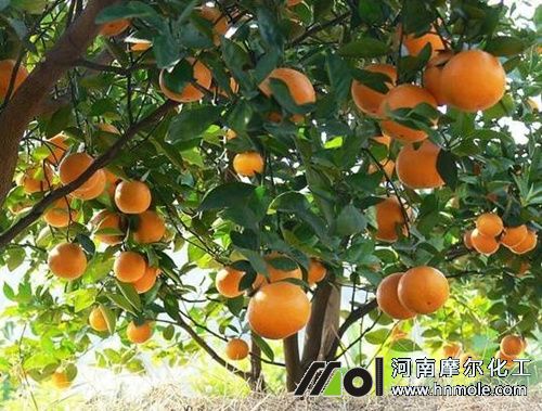 �ۘ�Y(ji��)����