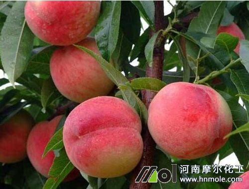 �Ҙ������׷ʩˮ�ܷ�