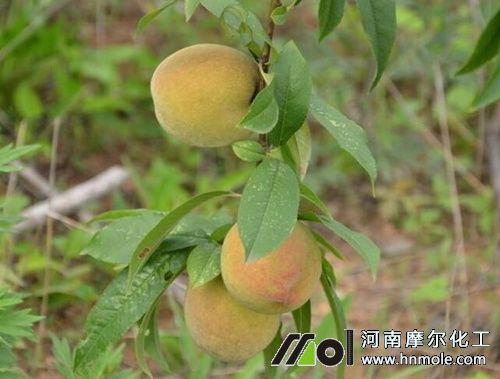 �Ҙ�Y(ji��)����׷ʩˮ�ܷ�