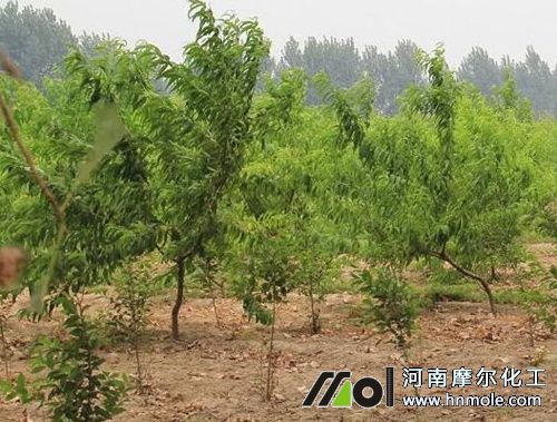 �Ҙ仨ǰ��׷ʩˮ�ܷ�