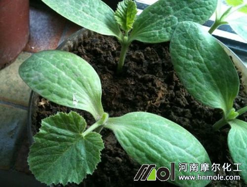 �����J�ٹ���