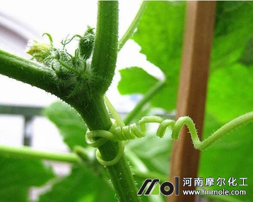 �S���L����ʩ��