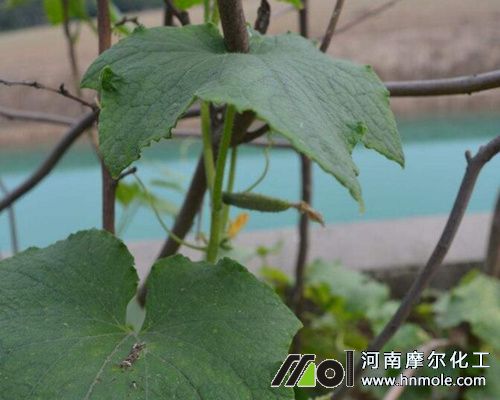 �S�϶�Y�Ϸ���