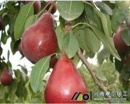 �����ɫˮ�ܷ��x��