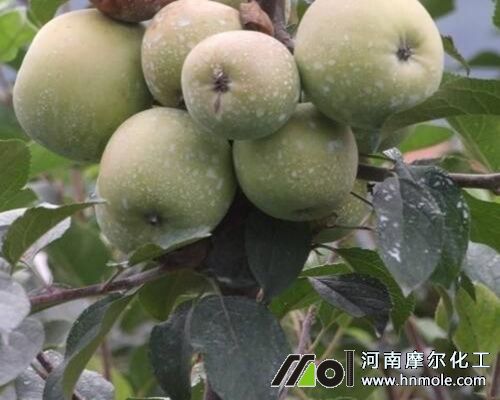 �����ɫ����