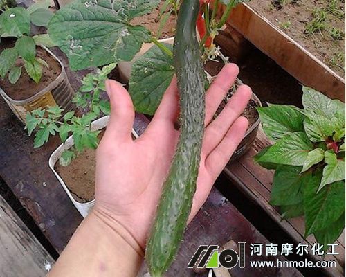 �S����������漚(x��)�F(xi��n)��