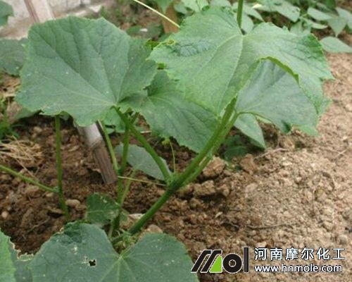 �S������׷��