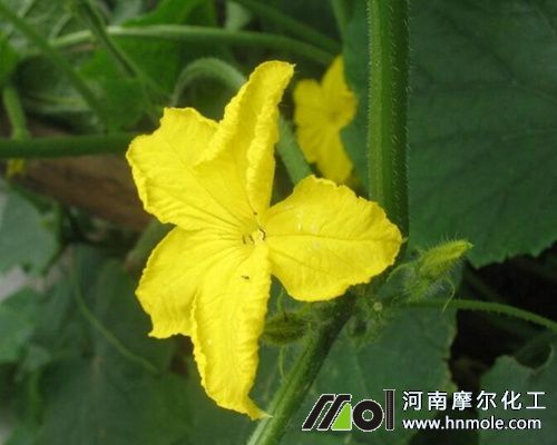 �S���_����