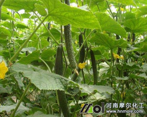 �S�ϽY(ji��)����