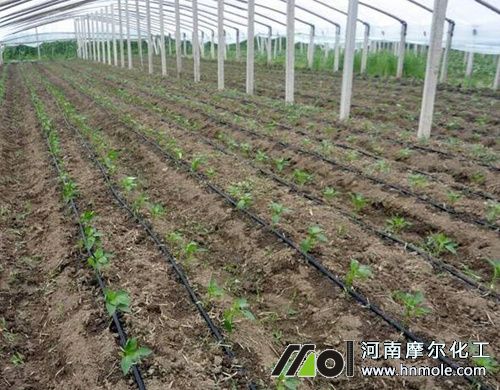 ����������ι�ˮ�ܷ�