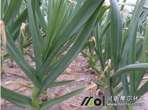 ��������ʩ�ʼ�����