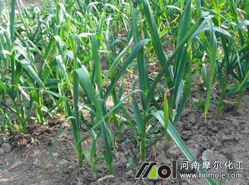 ��������ʩ�ʼ�����