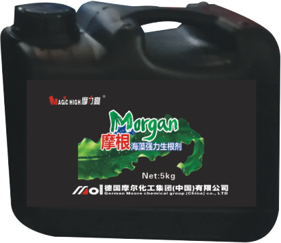 Ħ�����及��������