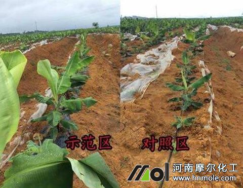 �~���׷���ǰ��