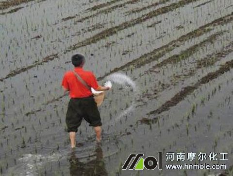 ���ȷ�ʹ��ע��